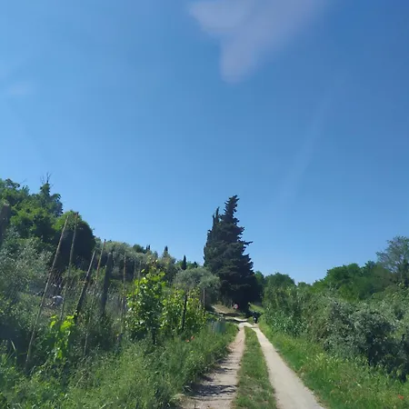 Casa Tre Pini * Serravalle Pistoiese